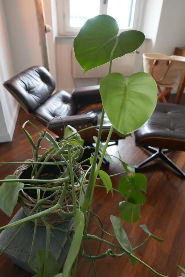 The Sunshine Loft Apartment Livorno Bagian luar foto